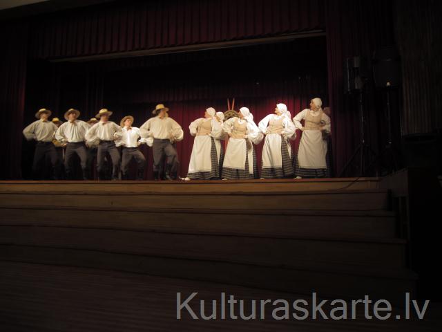 Tautas deju skate 2013